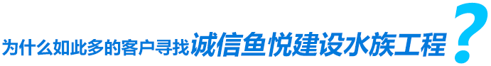 為什么如此多的客戶尋找誠信魚悅建設(shè)水族工程